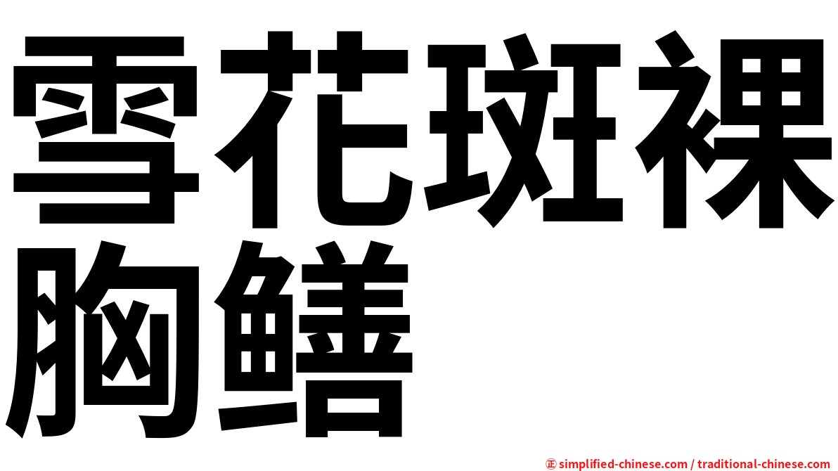 雪花斑裸胸鳝