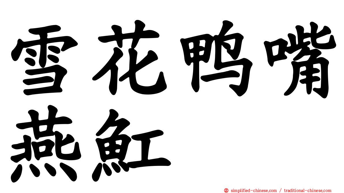 雪花鸭嘴燕𫚉