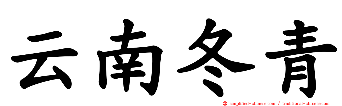 云南冬青