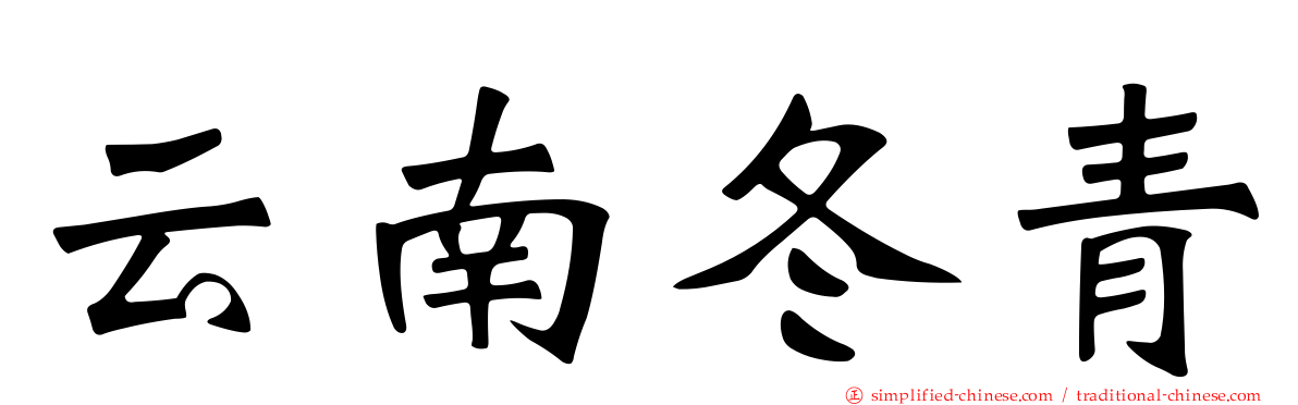 云南冬青