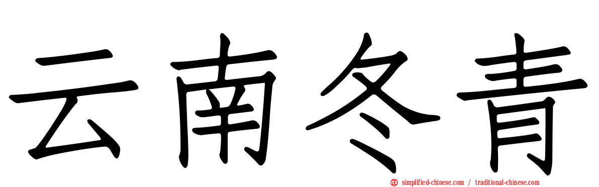 云南冬青