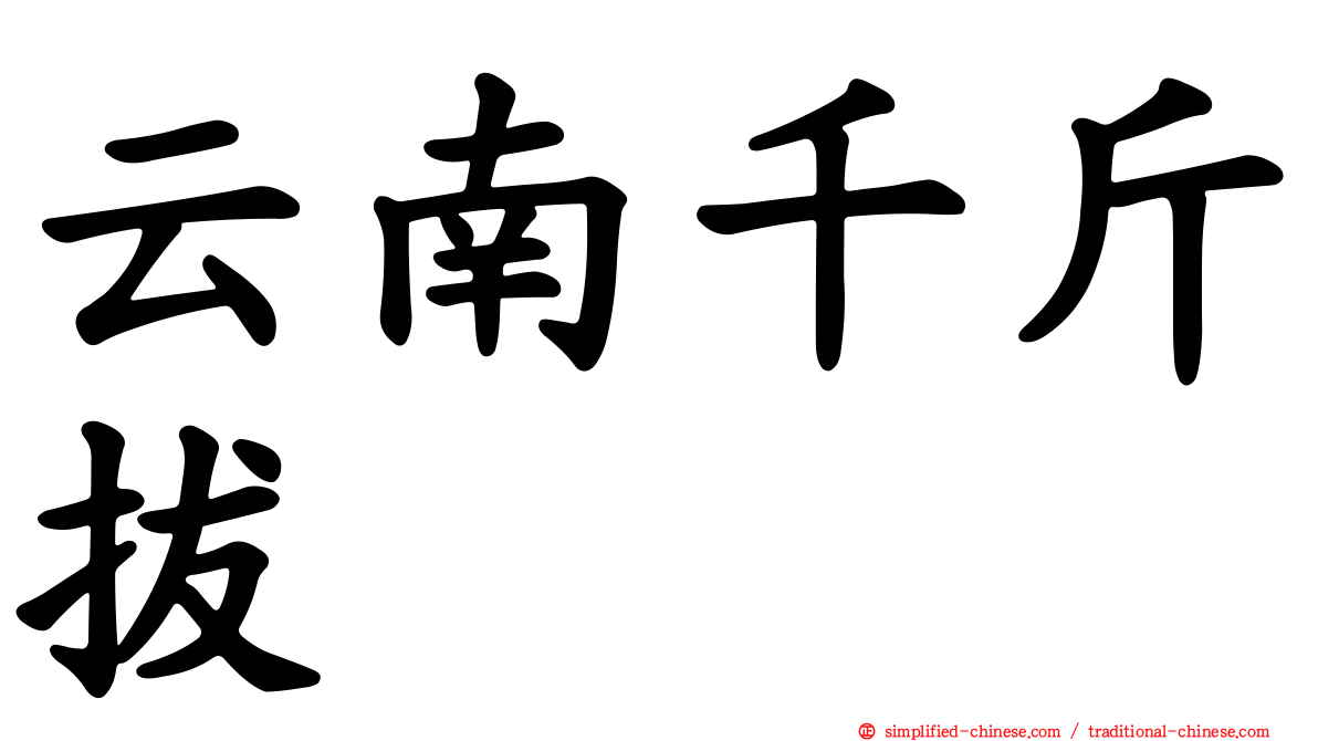 云南千斤拔