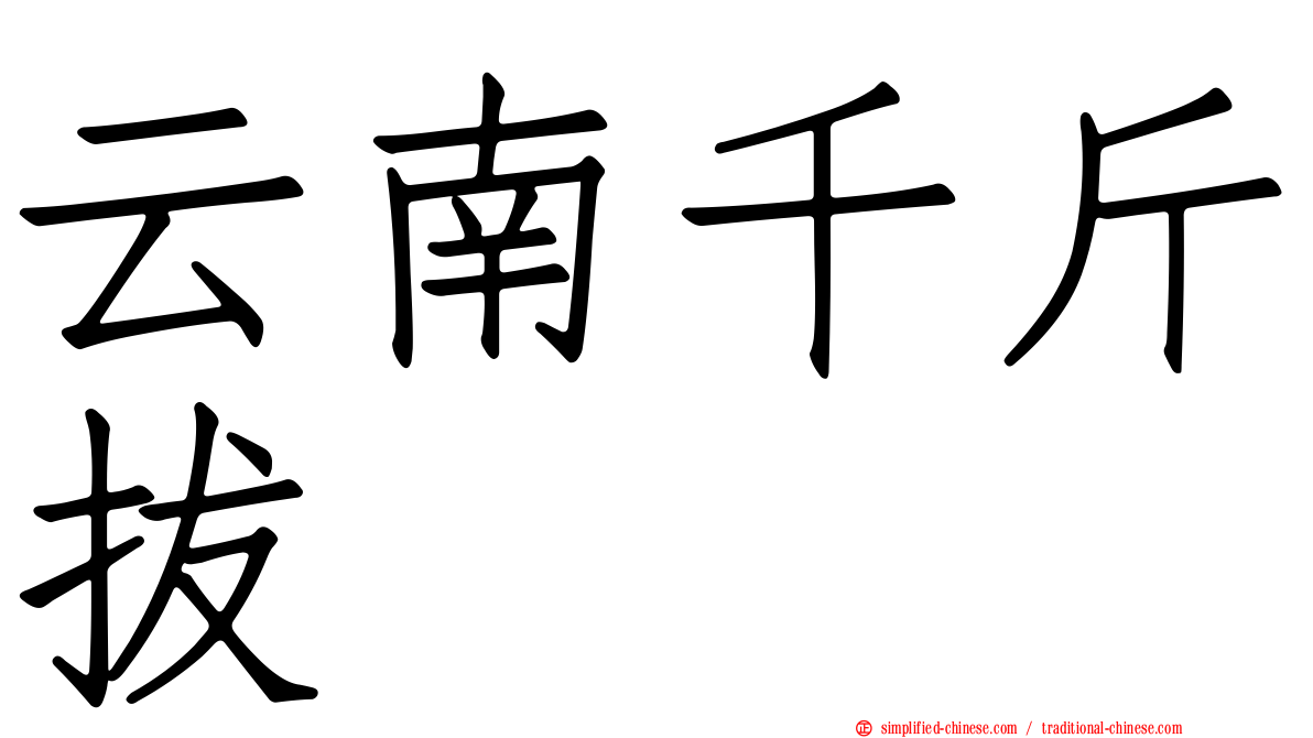 云南千斤拔