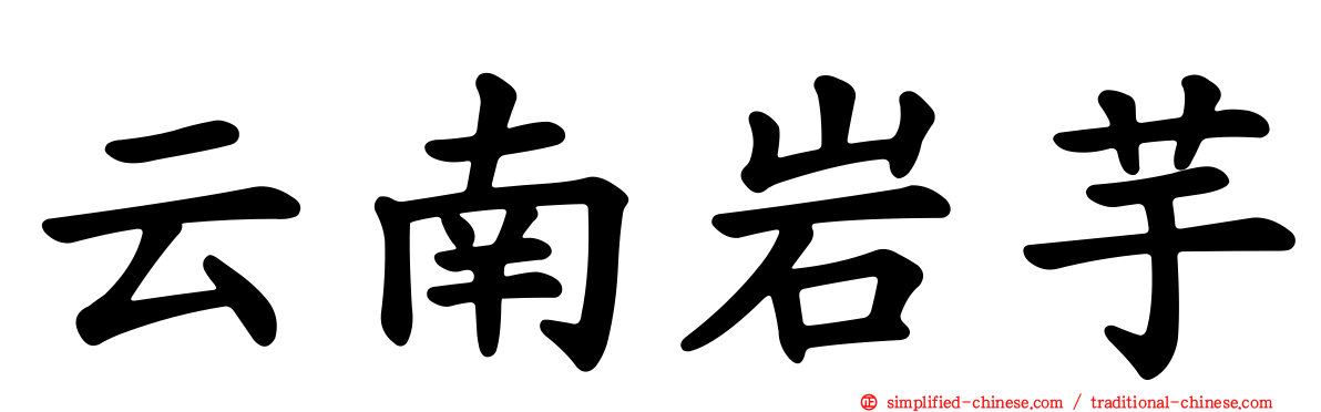 云南岩芋