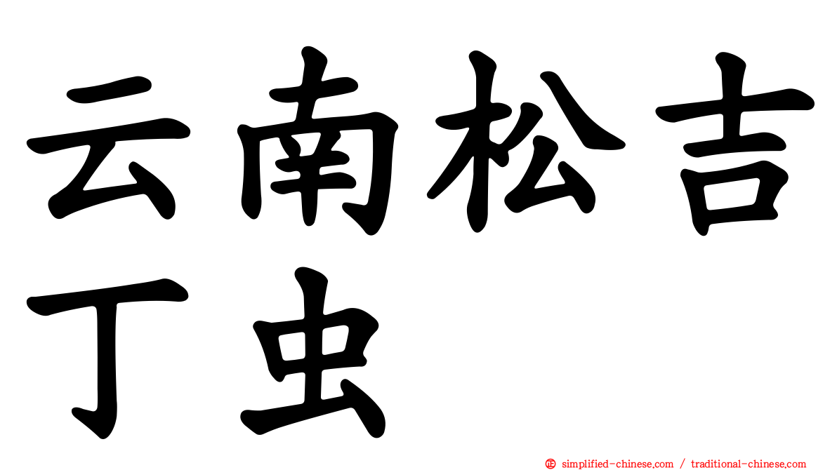 云南松吉丁虫