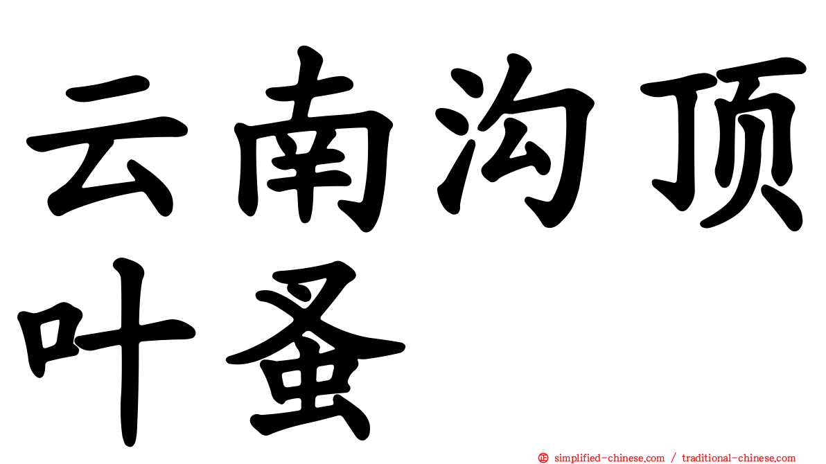 云南沟顶叶蚤