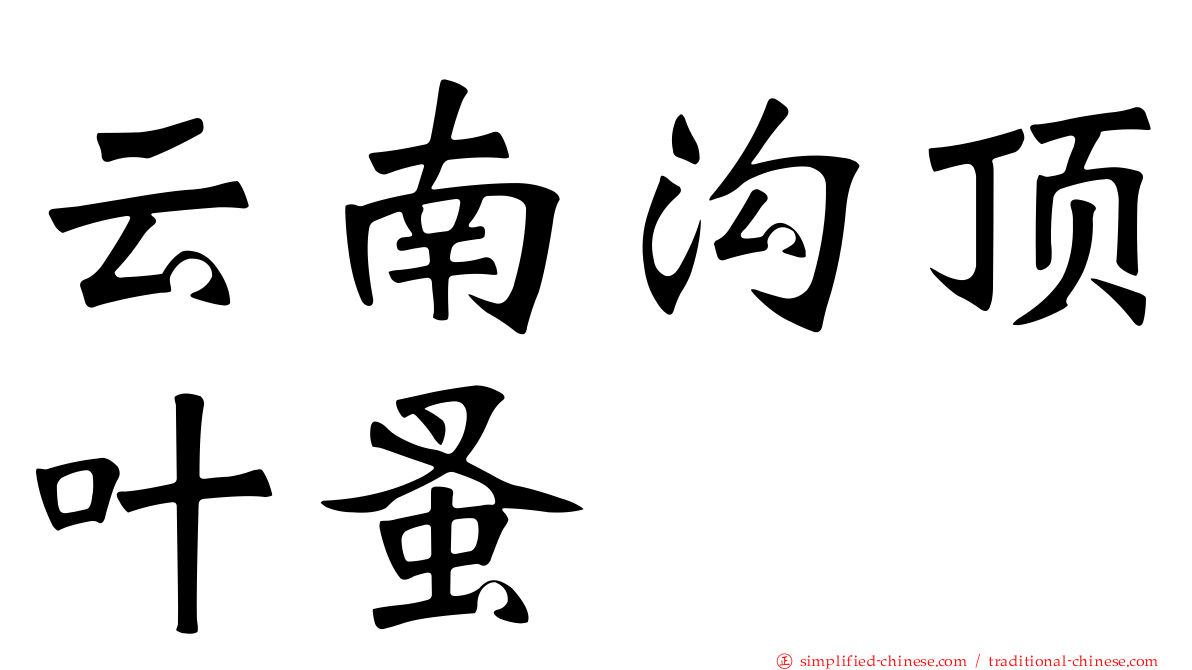 云南沟顶叶蚤
