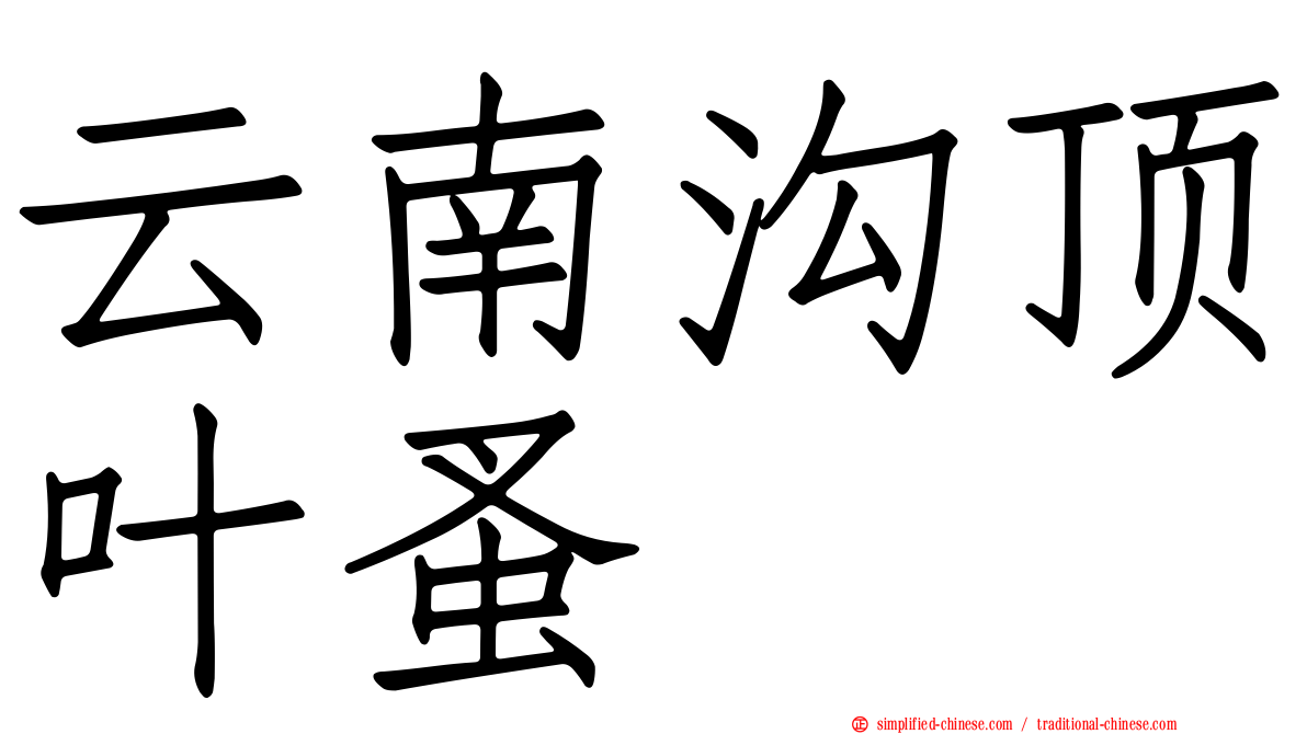 云南沟顶叶蚤
