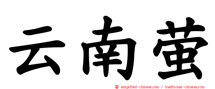云南萤