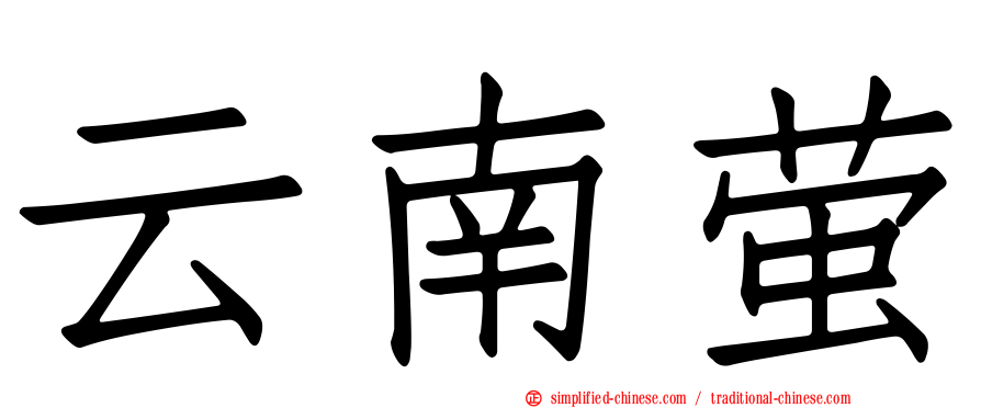 云南萤