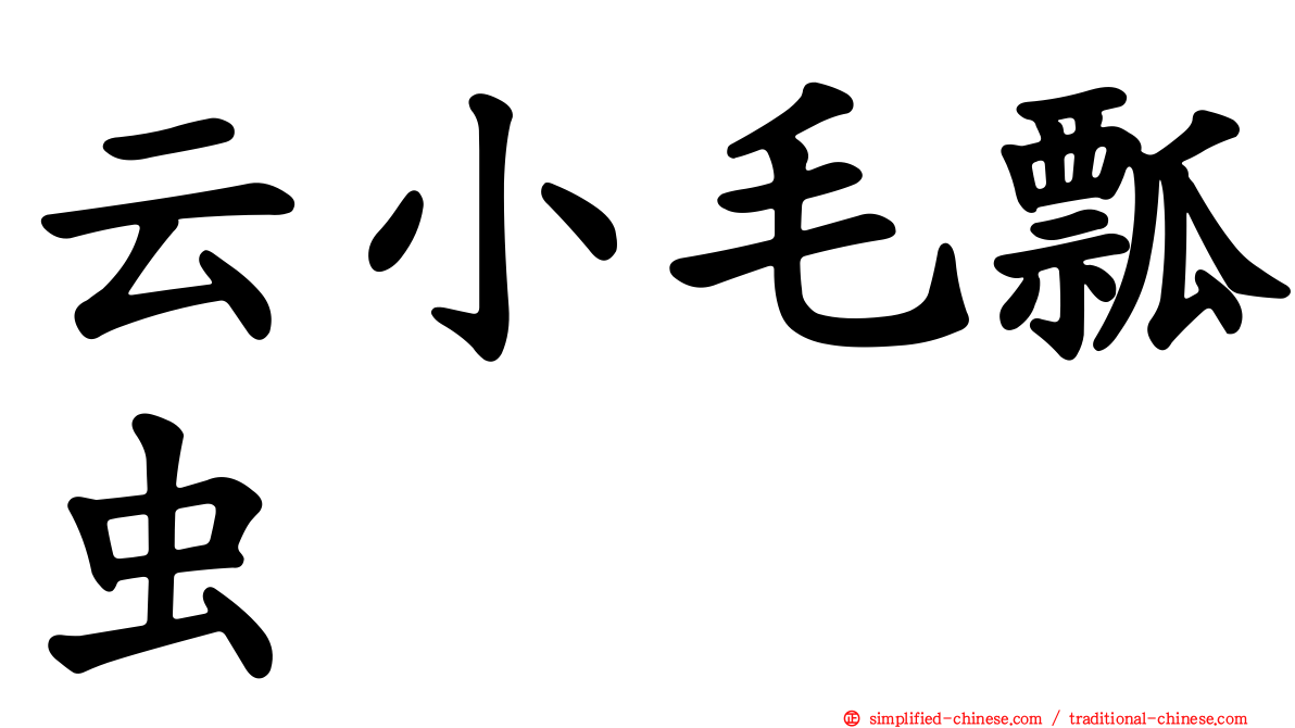 云小毛瓢虫