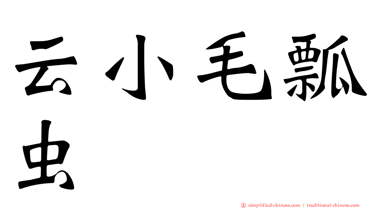 云小毛瓢虫