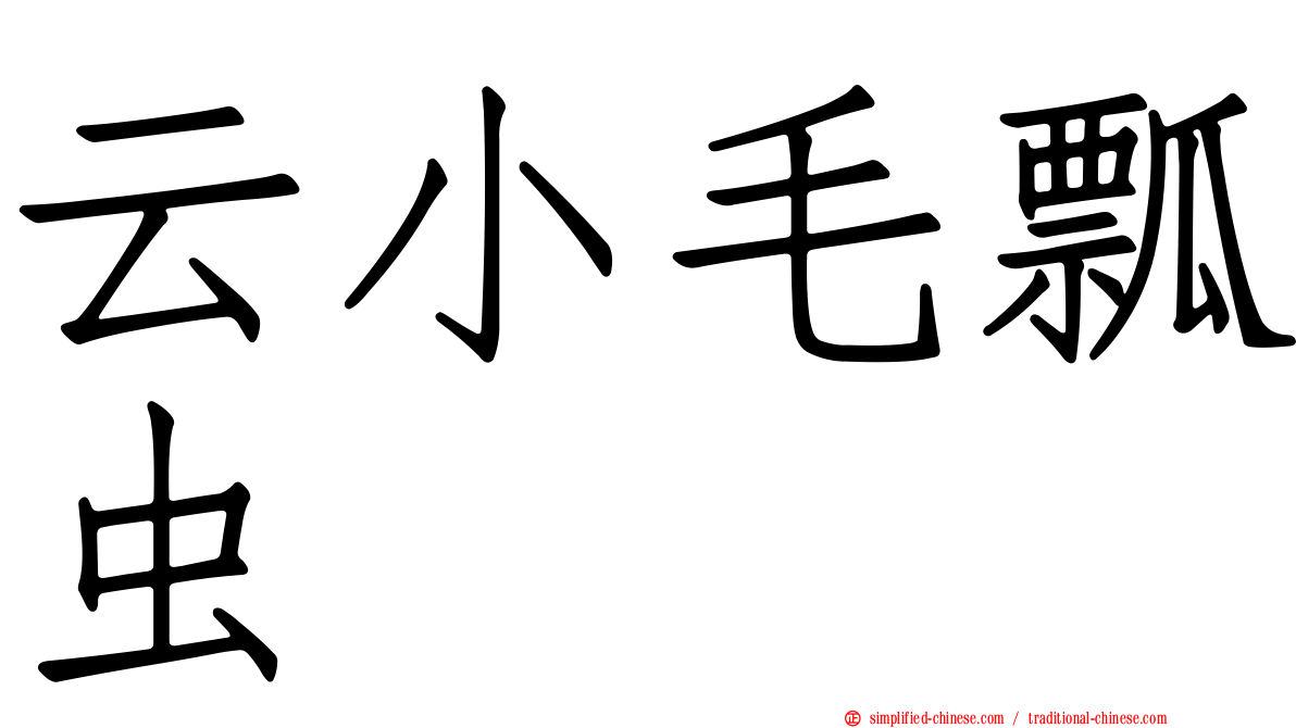 云小毛瓢虫