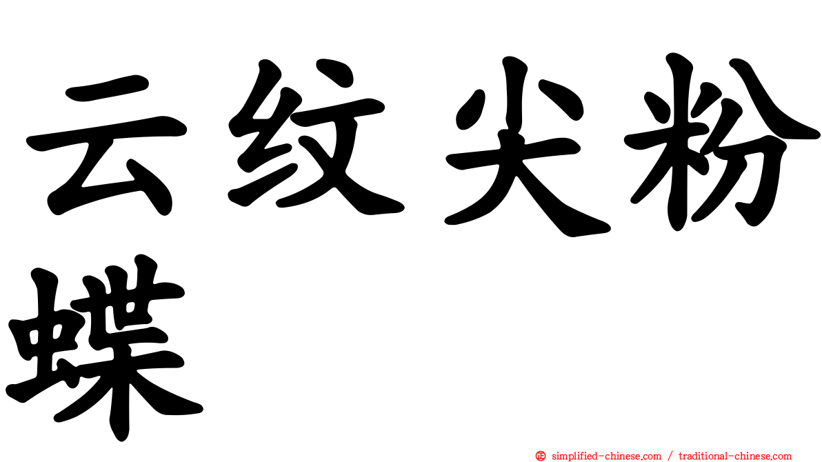 云纹尖粉蝶