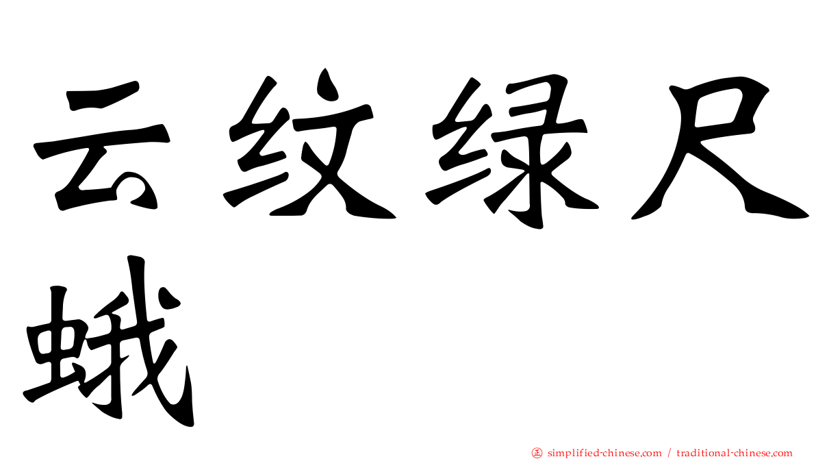云纹绿尺蛾
