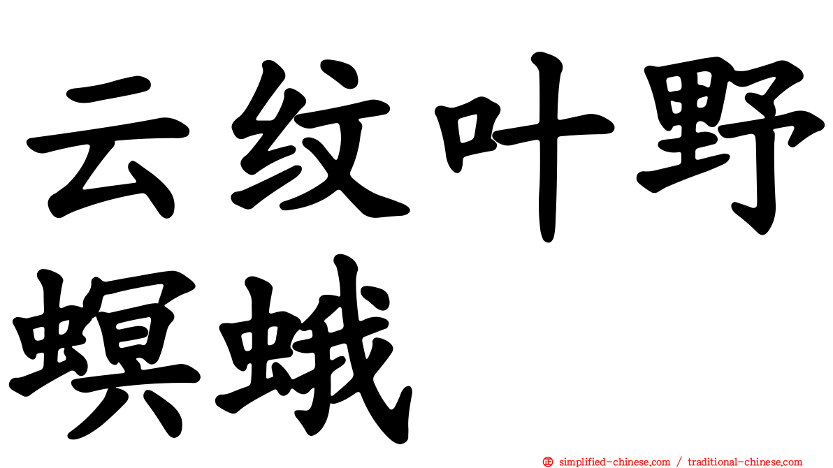 云纹叶野螟蛾