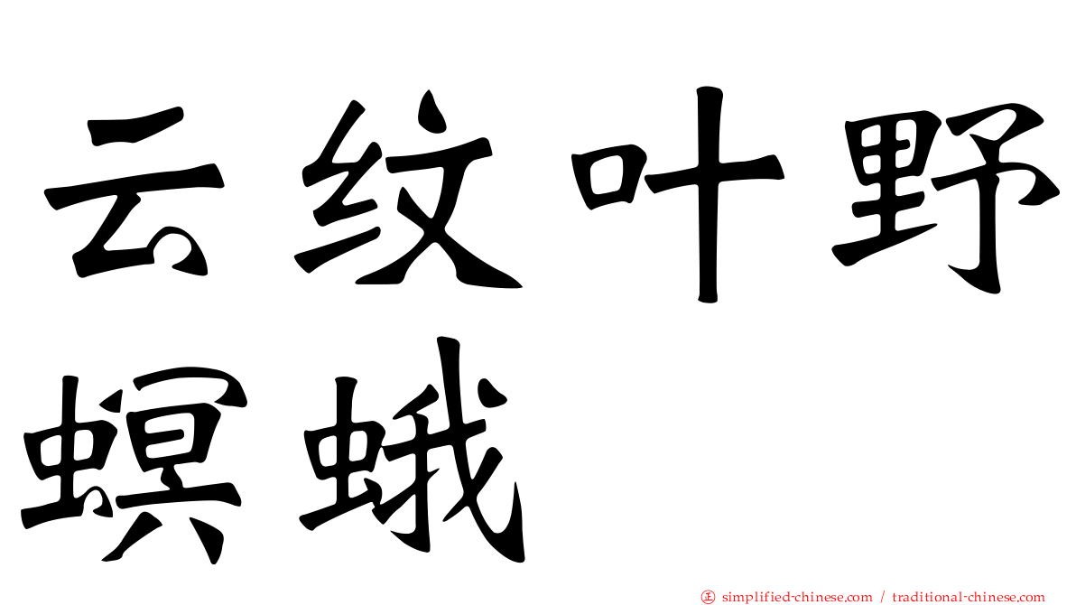 云纹叶野螟蛾