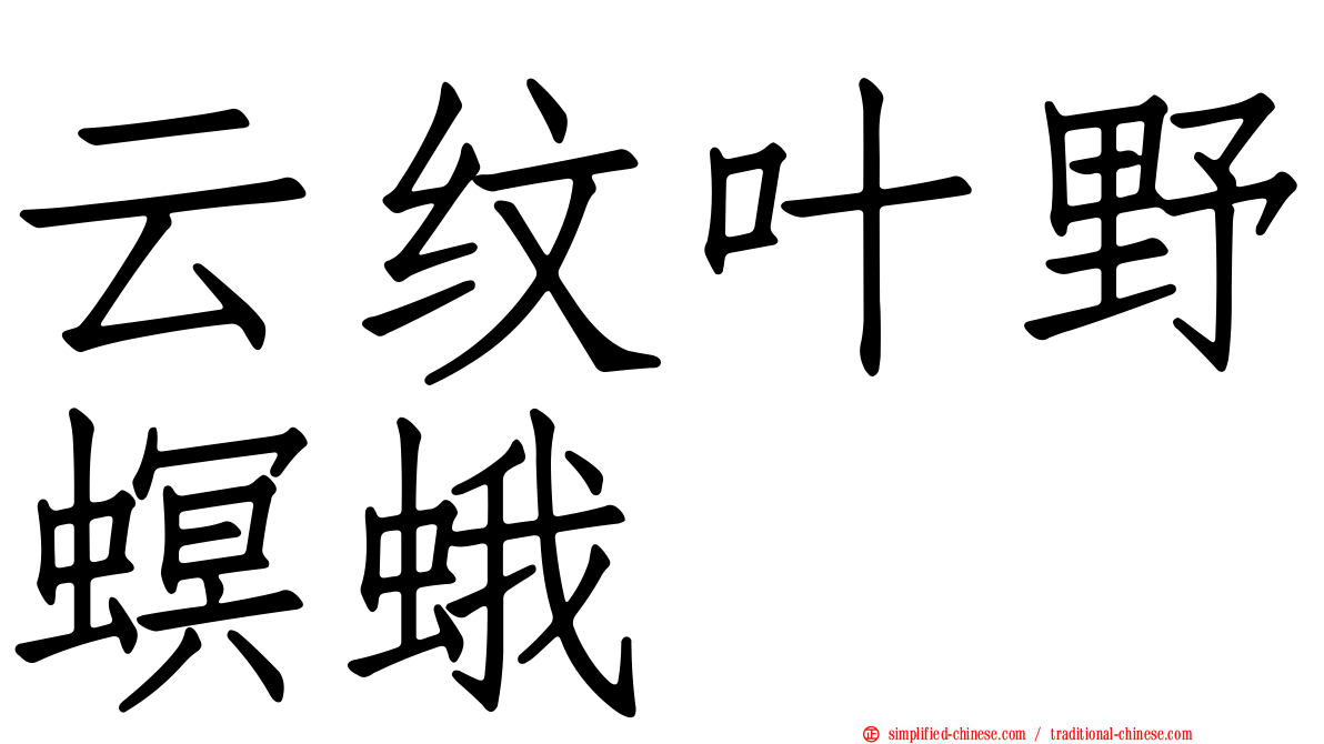 云纹叶野螟蛾