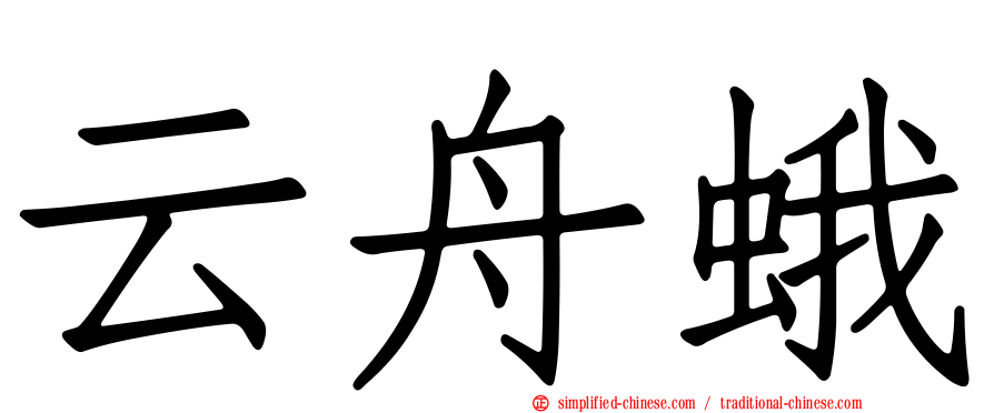 云舟蛾