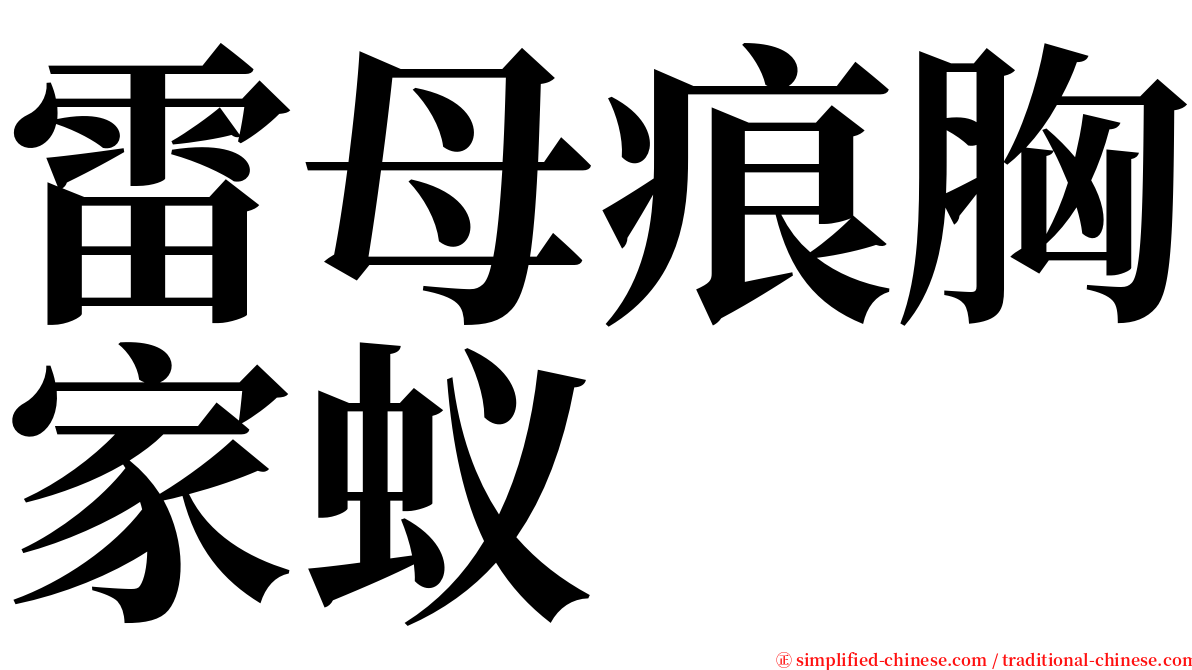 雷母痕胸家蚁 serif font
