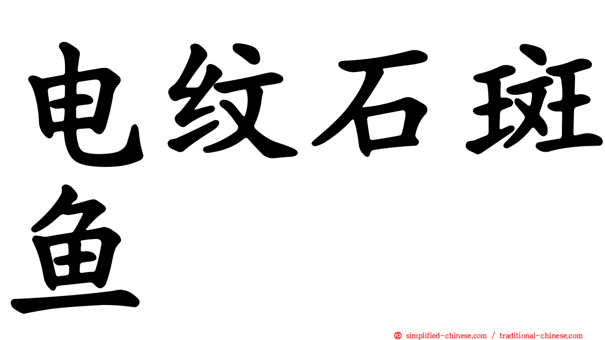 电纹石斑鱼