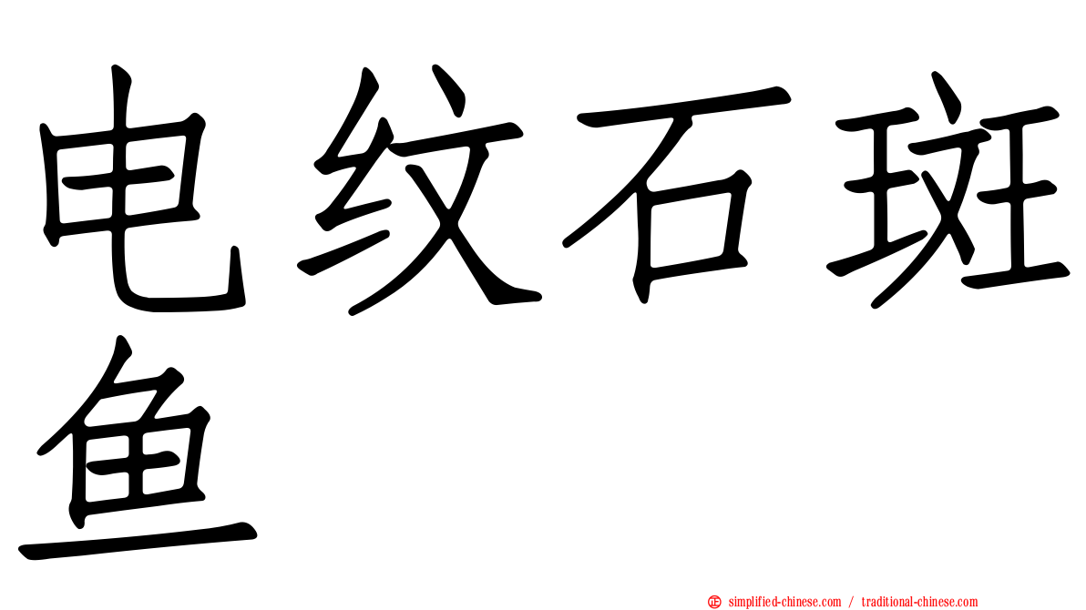电纹石斑鱼