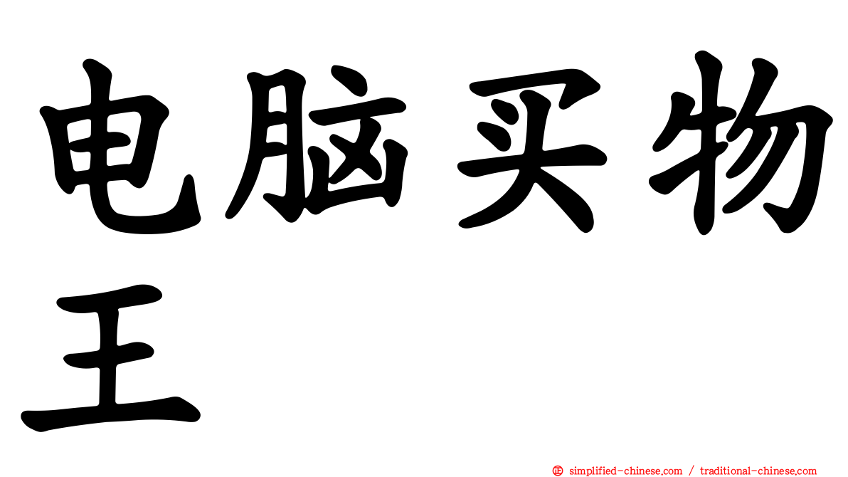 电脑买物王