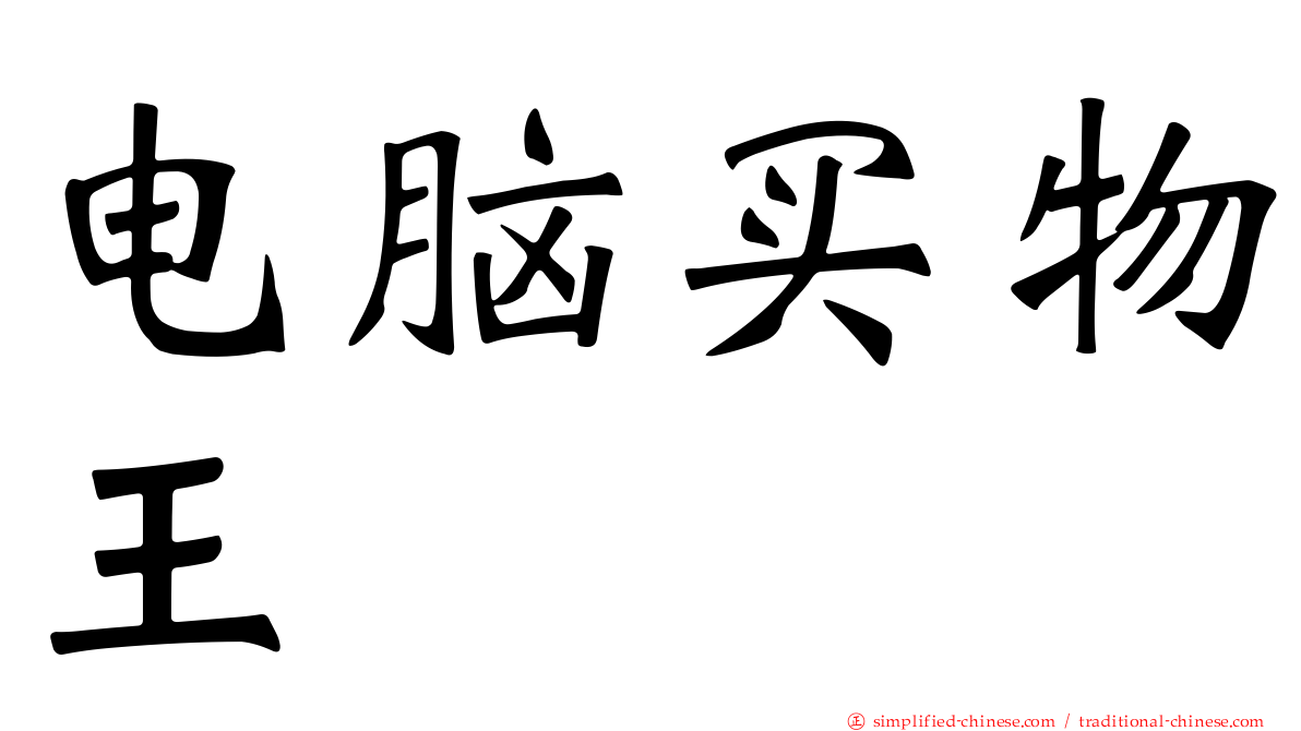 电脑买物王