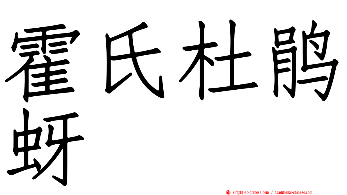 霍氏杜鹃蚜