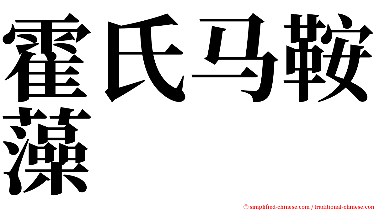 霍氏马鞍藻 serif font