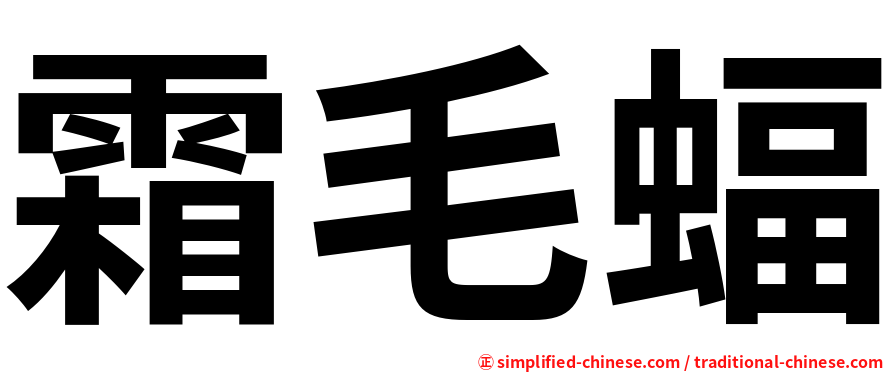 霜毛蝠