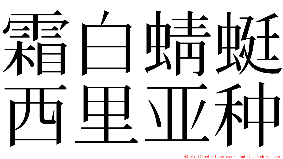 霜白蜻蜓西里亚种 ming font