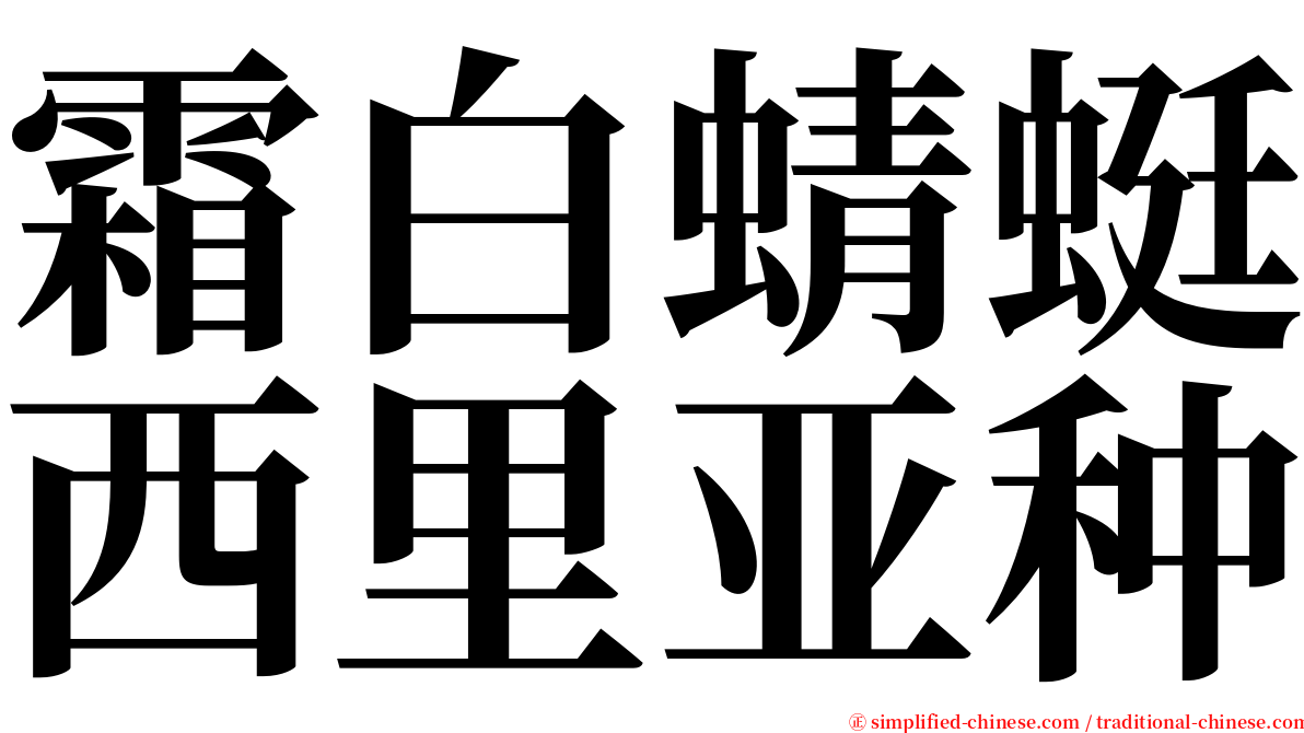 霜白蜻蜓西里亚种 serif font