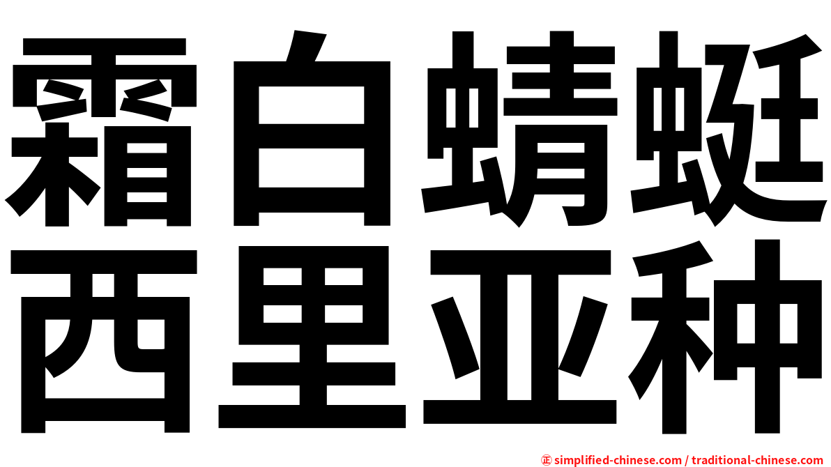 霜白蜻蜓西里亚种