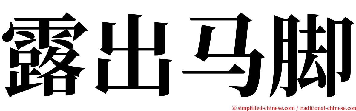 露出马脚 serif font