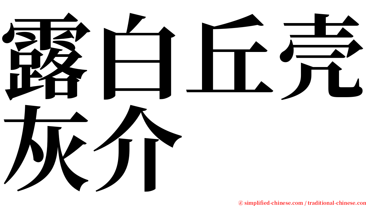 露白丘壳灰介 serif font