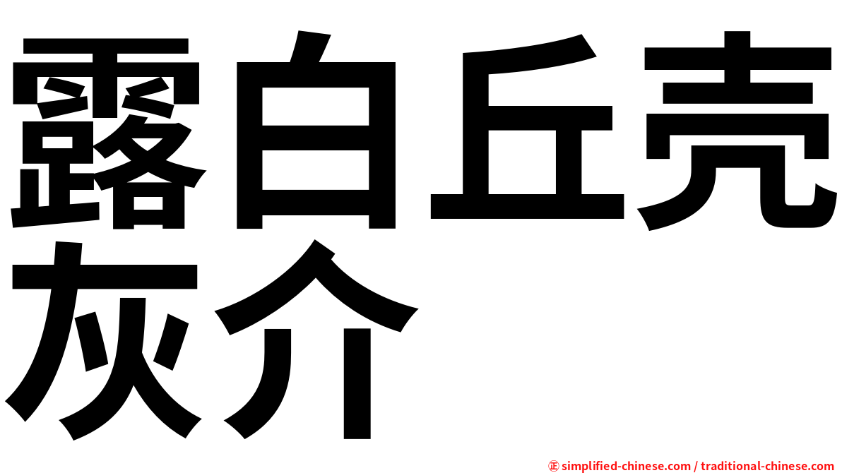 露白丘壳灰介