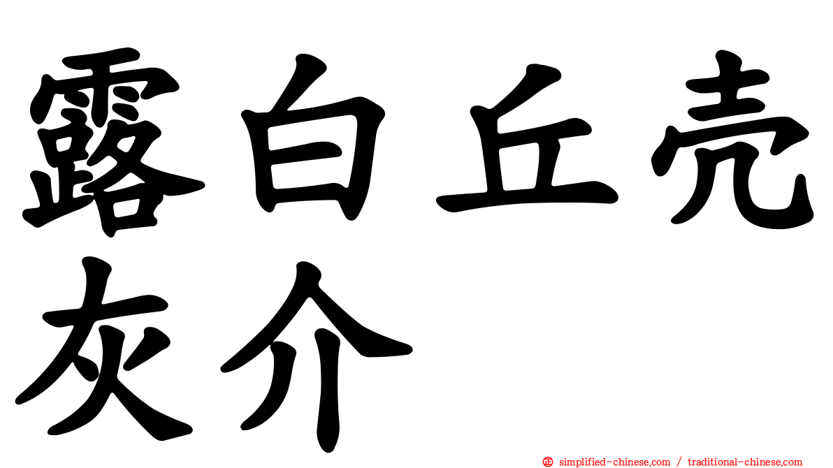 露白丘壳灰介