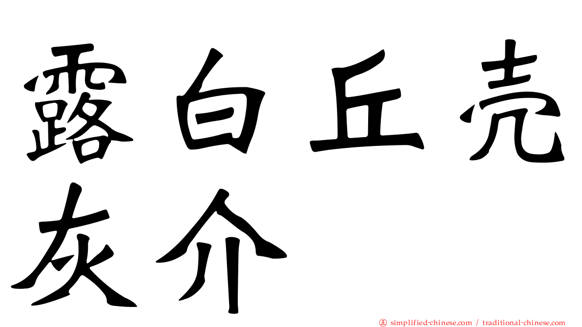 露白丘壳灰介