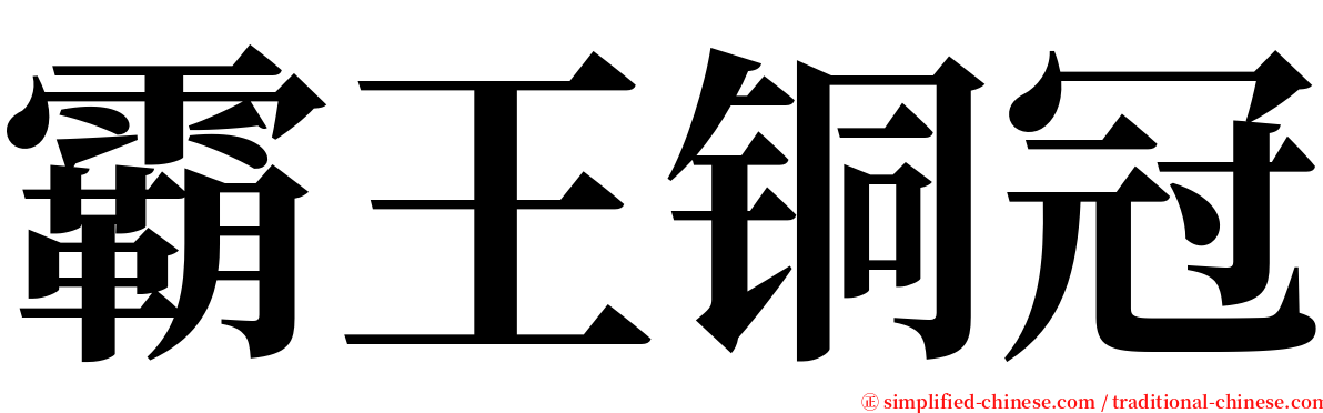 霸王铜冠 serif font