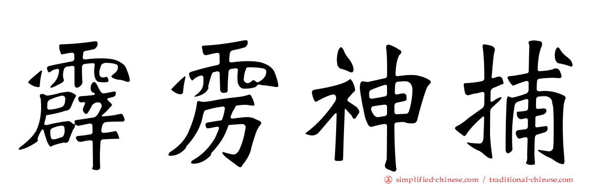 霹雳神捕