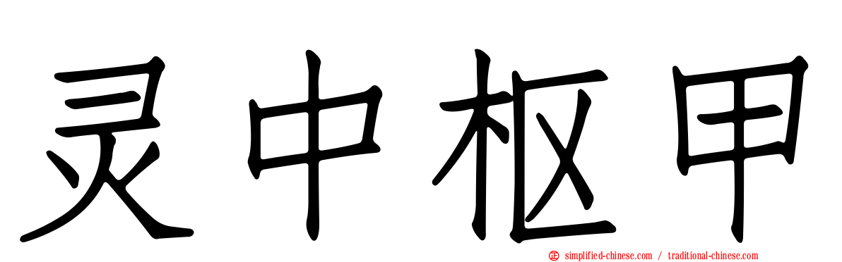 灵中枢甲