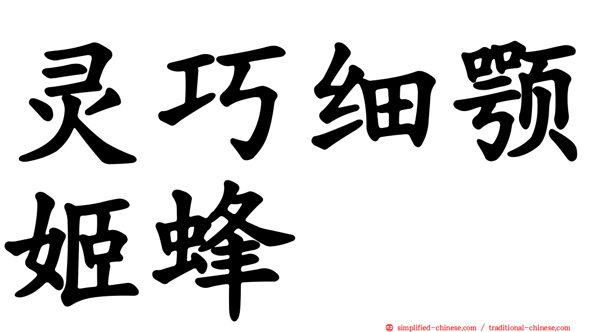 灵巧细颚姬蜂