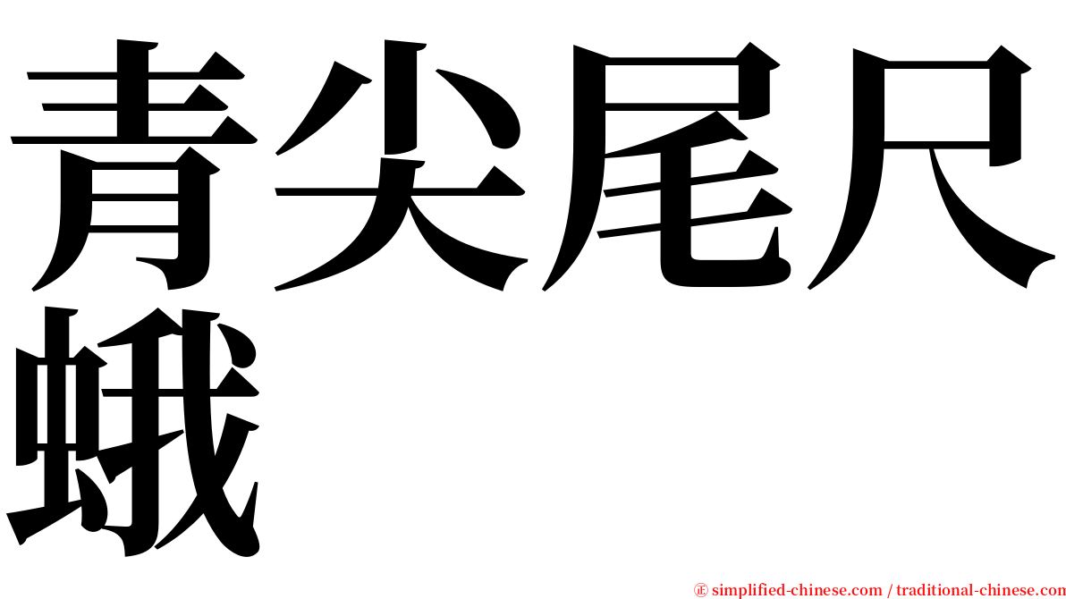 青尖尾尺蛾 serif font
