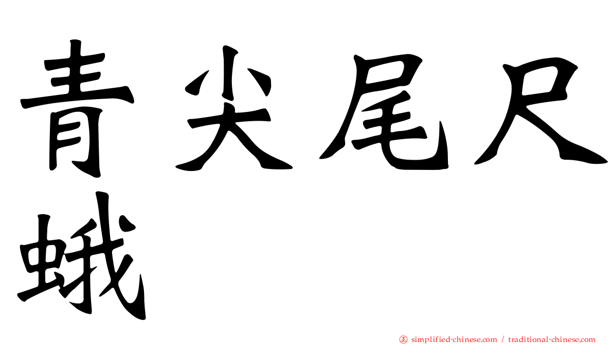 青尖尾尺蛾