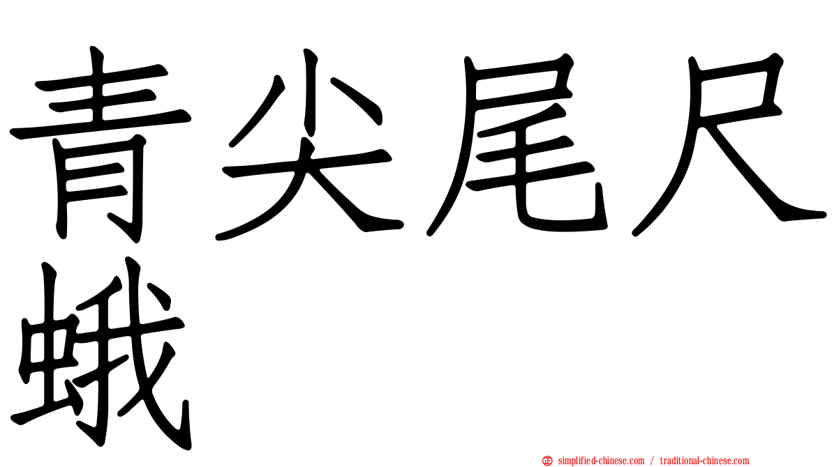 青尖尾尺蛾
