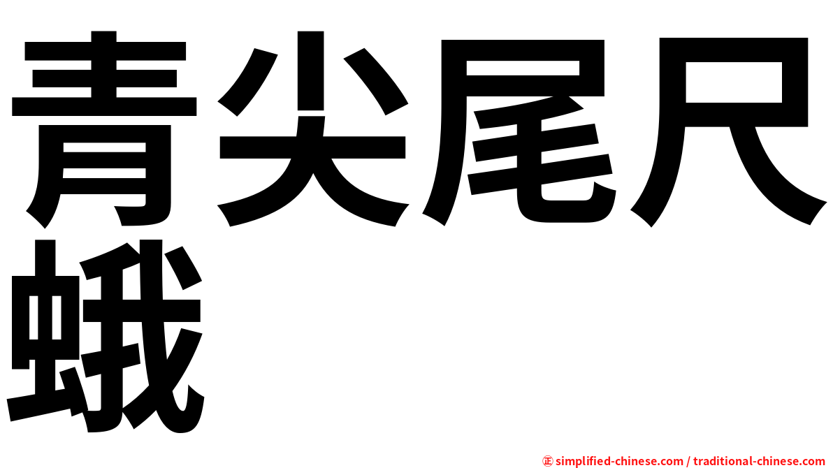 青尖尾尺蛾
