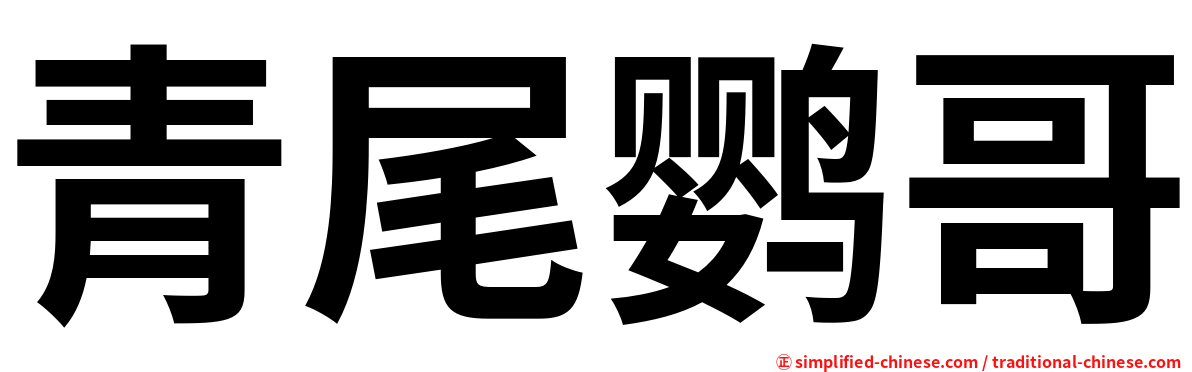 青尾鹦哥