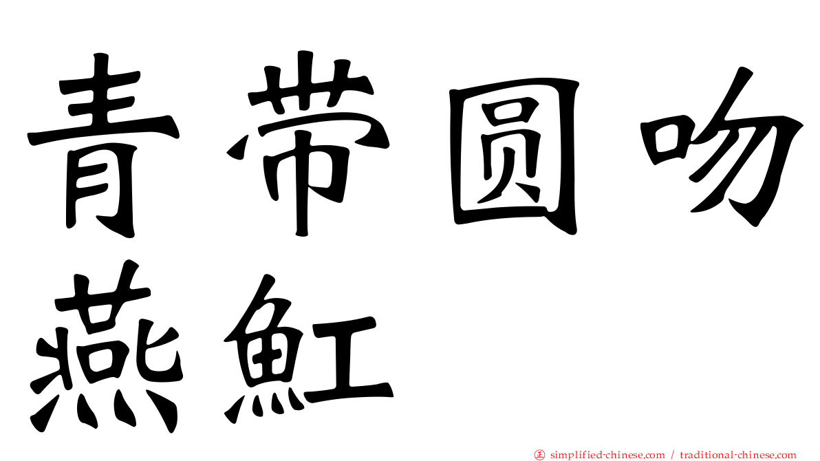 青带圆吻燕𫚉