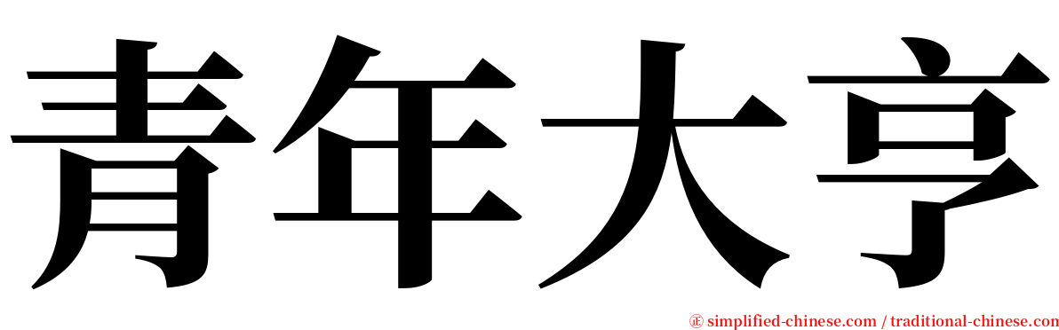 青年大亨 serif font
